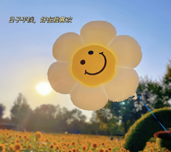 ��Զ���Ѳ����ĸ���ǩ�� �ܻ�ܳ���ǩ����ȫ