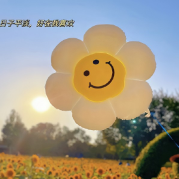��Զ���Ѳ����ĸ���ǩ�� �ܻ�ܳ���ǩ����ȫ