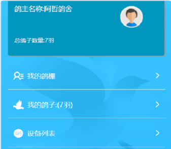 天寻信鸽比赛 天寻信鸽比赛