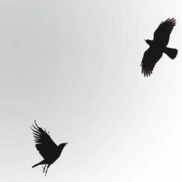 ʧ���󾢺ܴ��˵˵ ʧ����������µĻŵĶ̾�