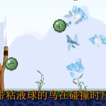 我的鸟指导版 我的鸟指导版