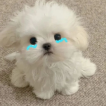 ���鸴ȼ������˵˵ �������ع��ںõľ���