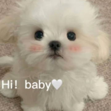 ���鸴ȼ������˵˵ �������ع��ںõľ���