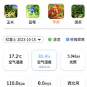 ���߱�app
