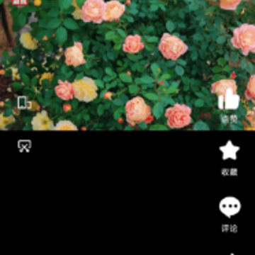 合江荔枝红app 合江荔枝红app