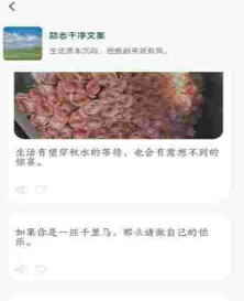 ���ӿ�app