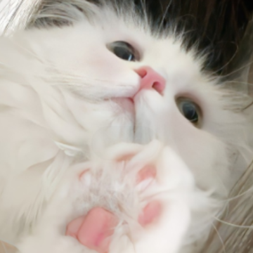 ������˵�����ľ����������� �ø������µ�����������¼