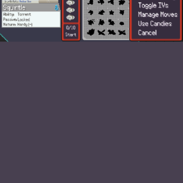 �ڴ��������(pokemon rogue)