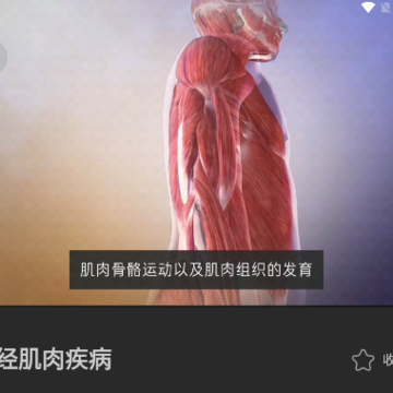 3D�������app