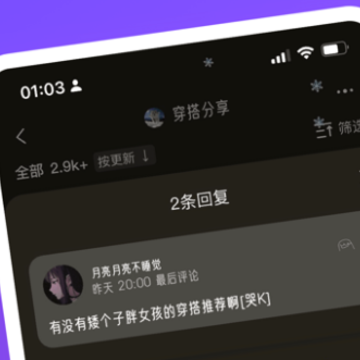 树懒 树懒