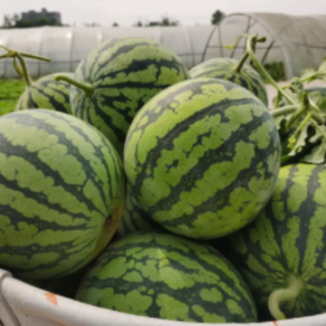 �ֵ��˳����ϼ��ڵ�����˵˵ ɹ�Թϵ��Ҹ��̾�