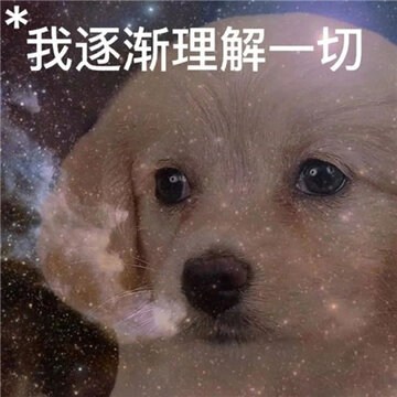 006WYq6ngy1hk8xw6cbm8j30u00u0juo.jpg