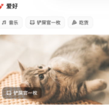 奶盖 奶盖