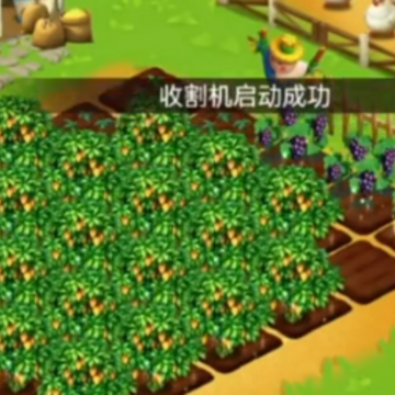 农场创始人 农场创始人