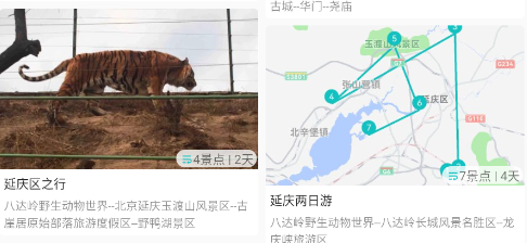 自驾甄行app 自驾甄行app