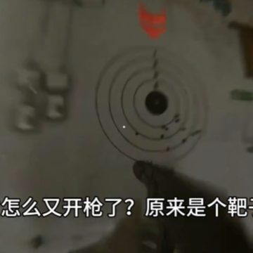 代号真实中文版 代号真实中文版