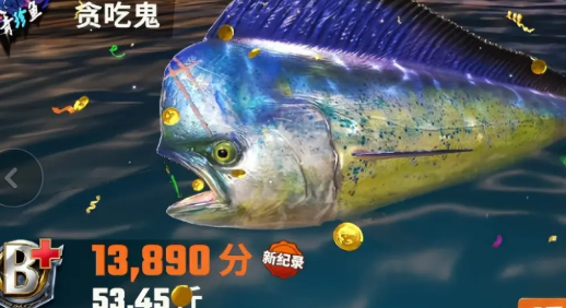 ���㾺����