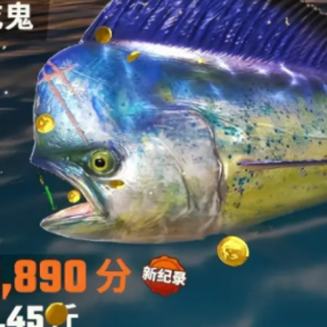 ���㾺����