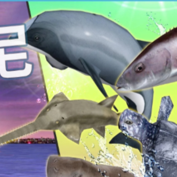 ���㾺����