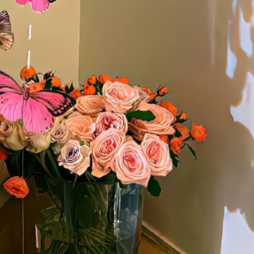 �����ֶ��������˵˵ ��һ�����е���������ֶ���������İ�
