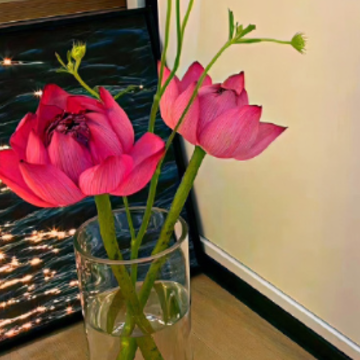 �����ֶ��������˵˵ ��һ�����е���������ֶ���������İ�