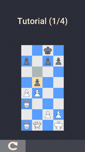 (Chess Evolution)