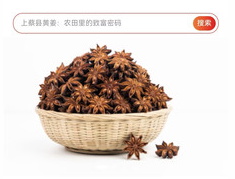 中香网app 中香网app