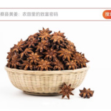中香网app 中香网app