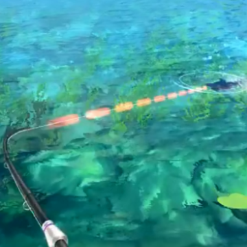 钓鱼旅行 钓鱼旅行