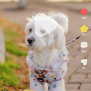 �����ӽ�app