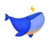 ����app