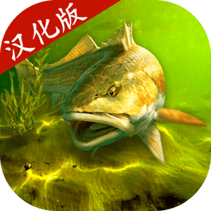 �ҵĵ������纺����v1.9.81 ��׿��