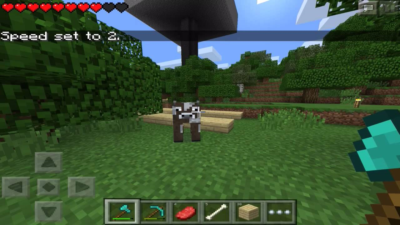 Minecraft�ҵ�������ʷ��ֻ�������v1.20.80.05 ��׿��ʽ��