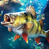 ���ֵ����ʦ3D��v1.0.0.51627 ��׿��