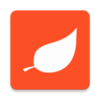 ��Ҷ���»�����v1.6.61 �ٷ���