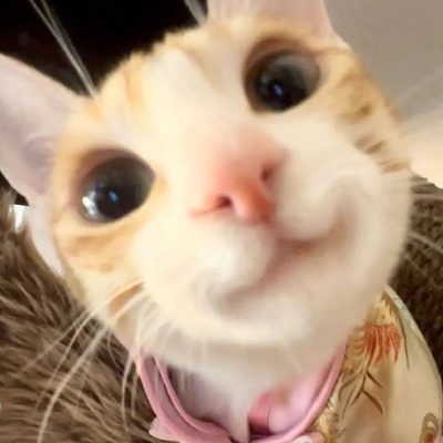 èè����̽ͷ�Ŀɰ����ͷ�� ��ŭ1���ӱ�ʧȥ��60����Ҹ�
