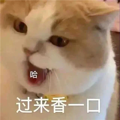 ʵ��ϵ�п��ֱ�����Ĭ �������첻��ȱ�����