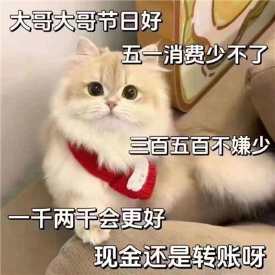 ��һ���õ��ı���� �������պ���һ�����ٲ���