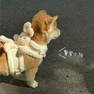 �����澰�ÿ�����ͼ���� �ɾ����ʸе���ͼ�ϼ�