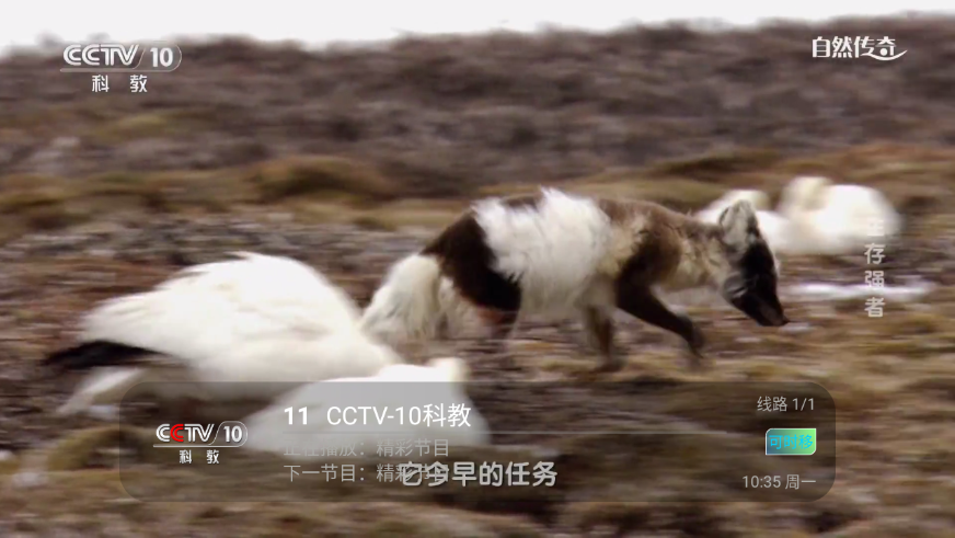 Ҽ��TV���ܰ�