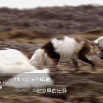 壹万TV无密版 壹万TV无密版