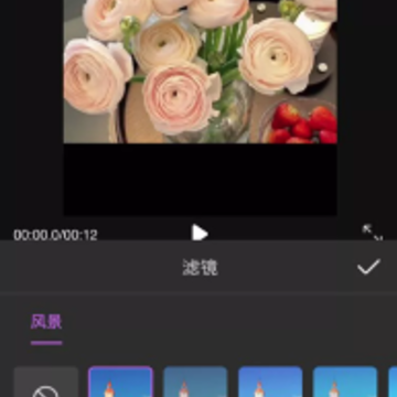 ��Ƶ��������app����