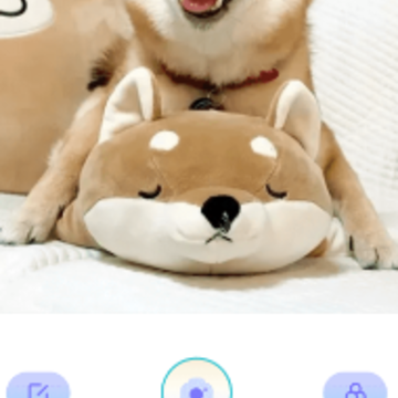 ��ͷ�����app