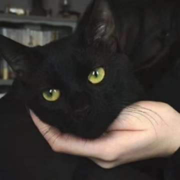 �Բ��˶���Ŀ��Ҫ������Ŀ��˵˵ �Բ��˶���Ŀ����ʵ�İ�