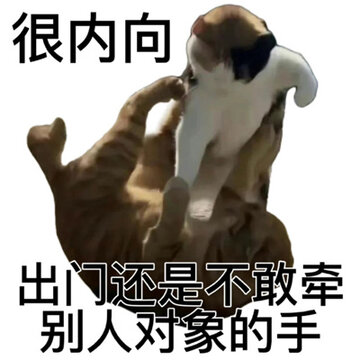 �����ܻ�ĺ��������� �������ڹ�λ�����ҹ���