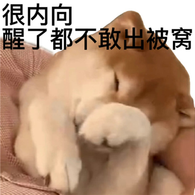 �����ܻ�ĺ��������� �������ڹ�λ�����ҹ���