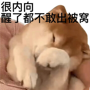 �����ܻ�ĺ��������� �������ڹ�λ�����ҹ���