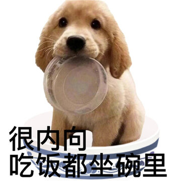 �����ܻ�ĺ��������� �������ڹ�λ�����ҹ���