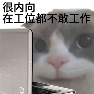 �����ܻ�ĺ��������� �������ڹ�λ�����ҹ���