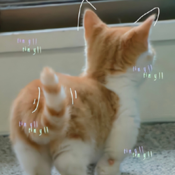 �°���ɫǩ��ÿһ�䶼�������� �°�������Ķ���ǩ��